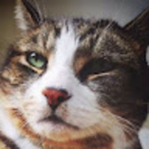 Meet your Posher, Realtor